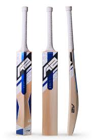 cricket bat